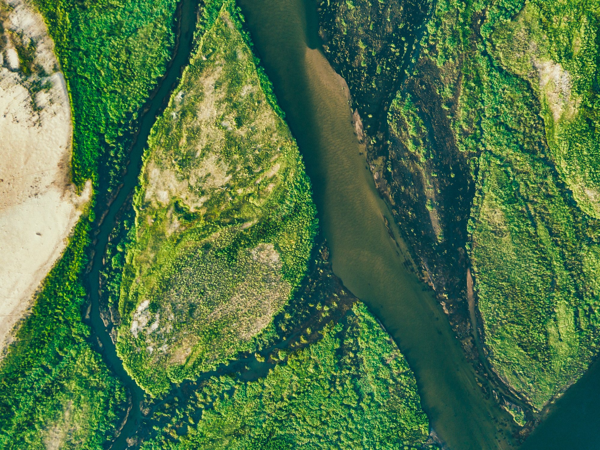 Chemical-free land clearing